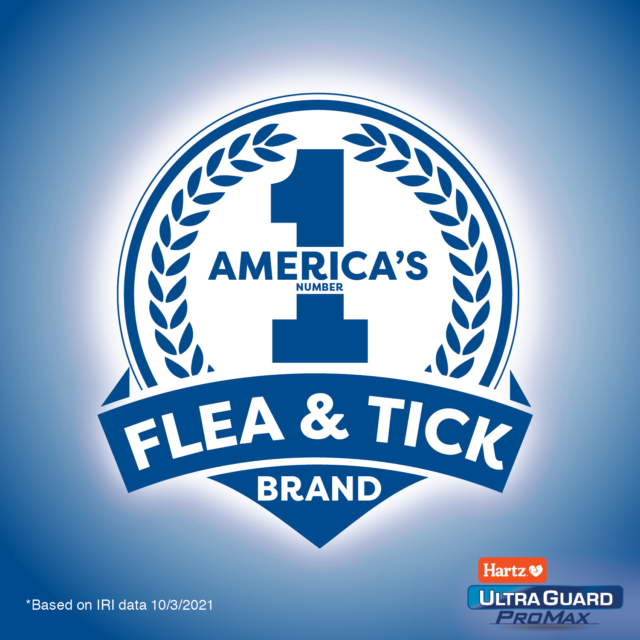 Hartz UltraGuard Flea & Tick Collar for Dogs and Puppies, 7 months Protection, (4 pack) - Image 3