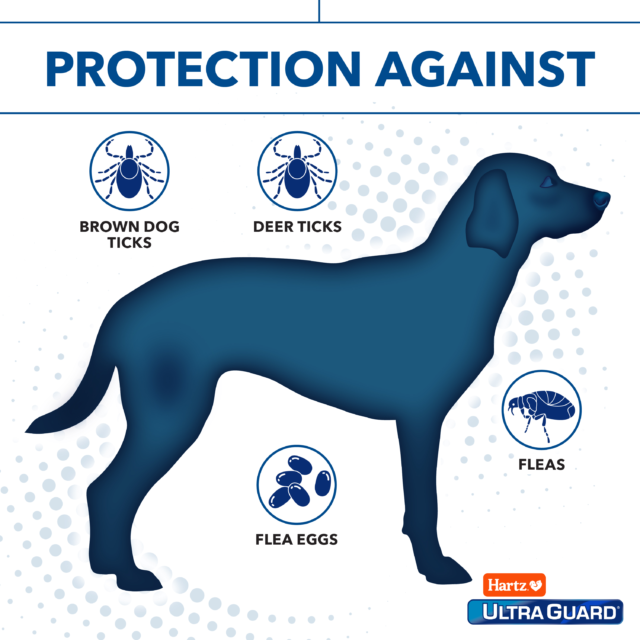Hartz UltraGuard Dual Action Flea & Tick Topical for Medium Dogs 15-30lbs, 3 Monthly Treatments - Image 5