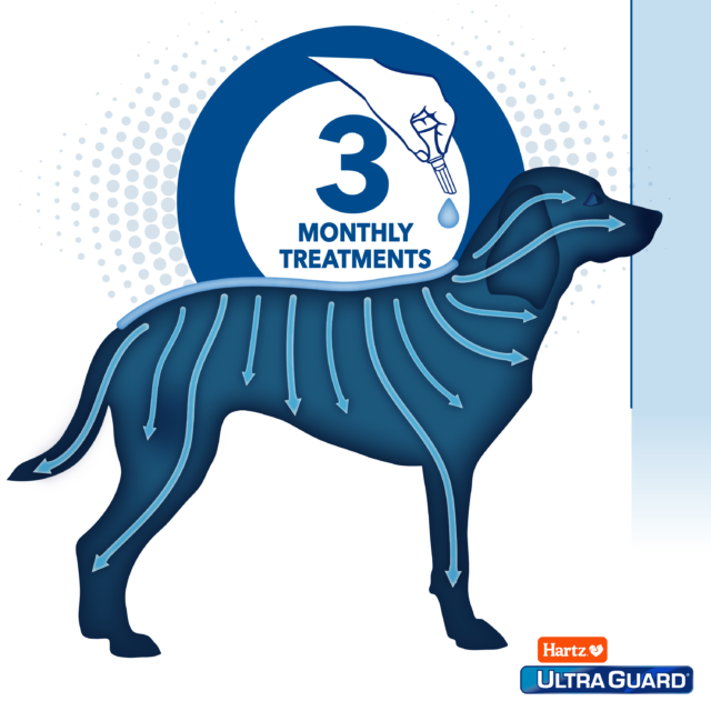 Hartz UltraGuard Dual Action Flea & Tick Topical for Medium Dogs 15-30lbs, 3 Monthly Treatments - Image 4