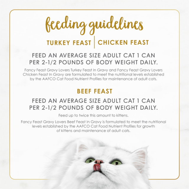 Purina Fancy Feast Gravy Lovers Kitten Food, Wet Cat Food Collection, 3 oz Cans (24 Pack) - Image 2