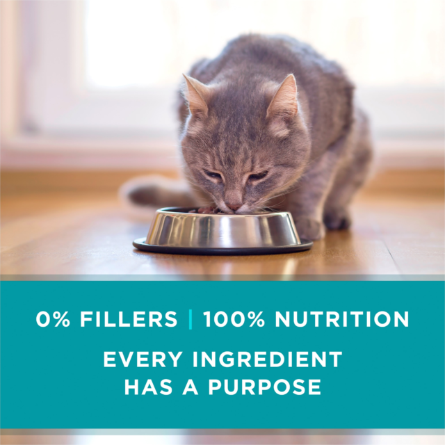 Purina ONE Natural, High Protein Wet Cat Food Variety Pack, Turkey, Chicken and Tuna Recipes - Image 3