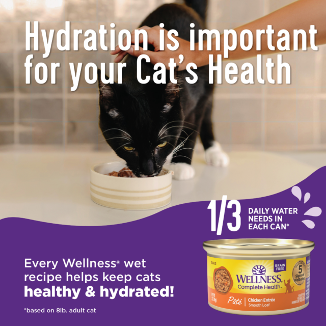 Wellness Complete Health Minced Grain Free Canned Cat Food, Chicken Dinner, 3 Ounces (Pack of 24) - Image 7