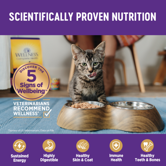 Wellness Complete Health Minced Grain Free Canned Cat Food, Chicken Dinner, 3 Ounces (Pack of 24) - Image 6