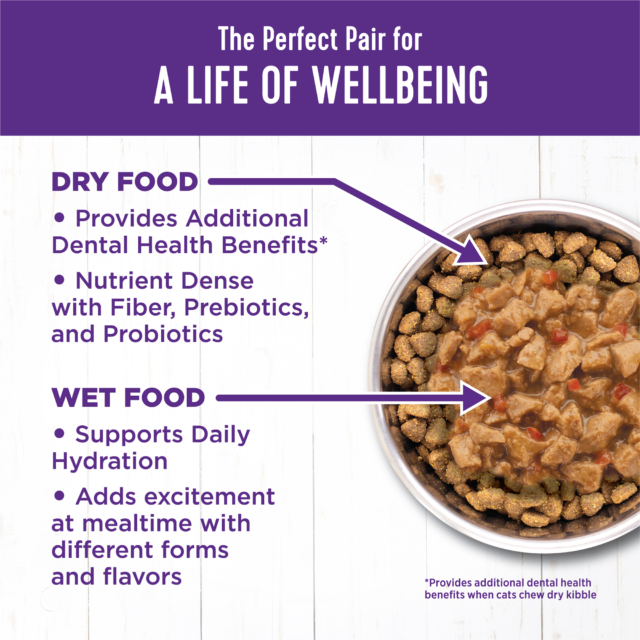 Wellness Complete Health Minced Grain Free Canned Cat Food, Chicken Dinner, 3 Ounces (Pack of 24) - Image 5