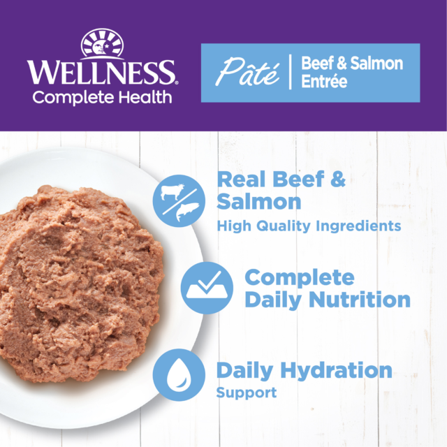 Wellness Complete Health Natural Grain Free Wet Canned Cat Food, Beef & Salmon Pate, 12.5-Ounce Can (Pack of 12) - Image 11