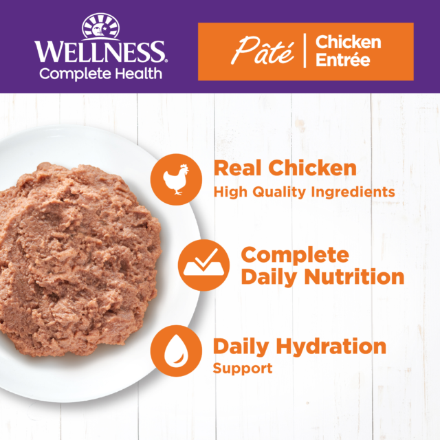 Wellness Complete Health Grain Free Canned Cat Food, Chicken Pate, 12.5 Ounces (Pack of 12) - Image 9