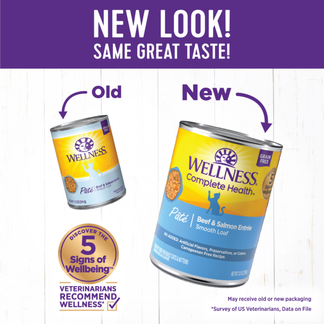 Wellness Complete Health Natural Grain Free Wet Canned Cat Food, Beef & Salmon Pate, 12.5-Ounce Can (Pack of 12) - Image 9