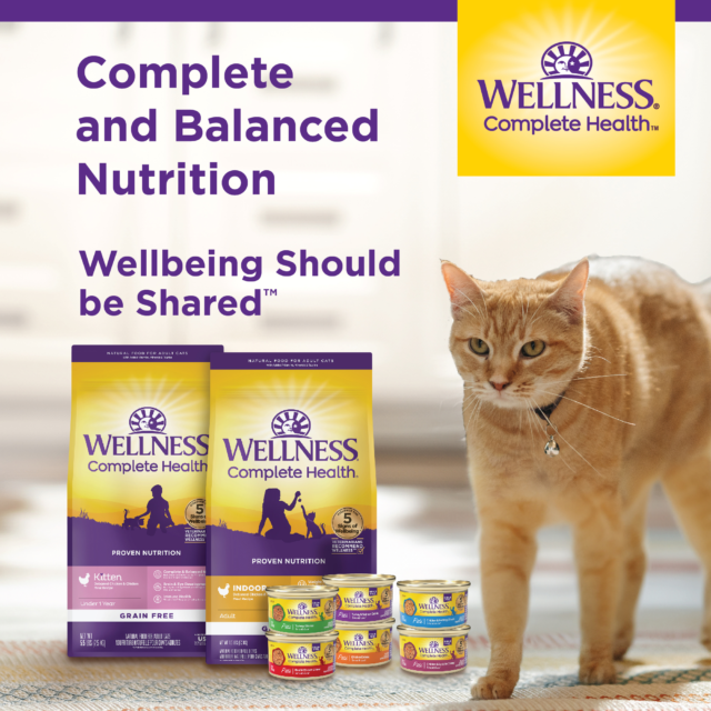 Wellness Complete Health Grain Free Canned Cat Food, Chicken Pate, 12.5 Ounces (Pack of 12)