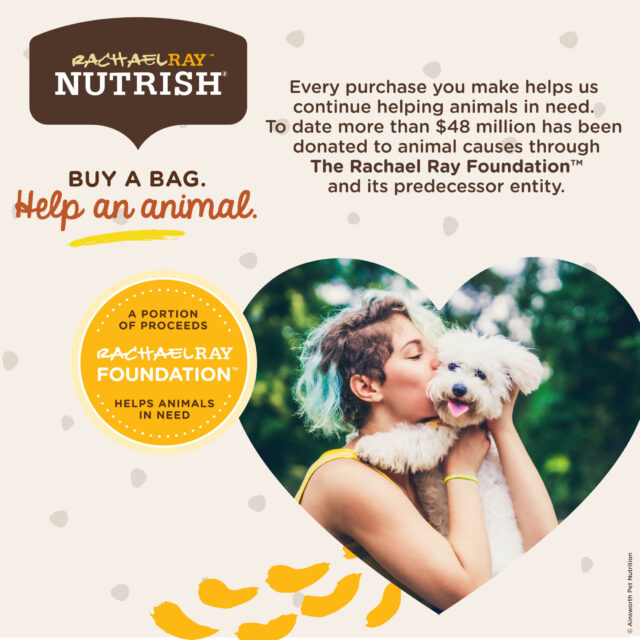 Rachael Ray Nutrish Savory Favorites Variety Pack Wet Dog Food, 8 oz. Tubs, 6 Count - Image 7
