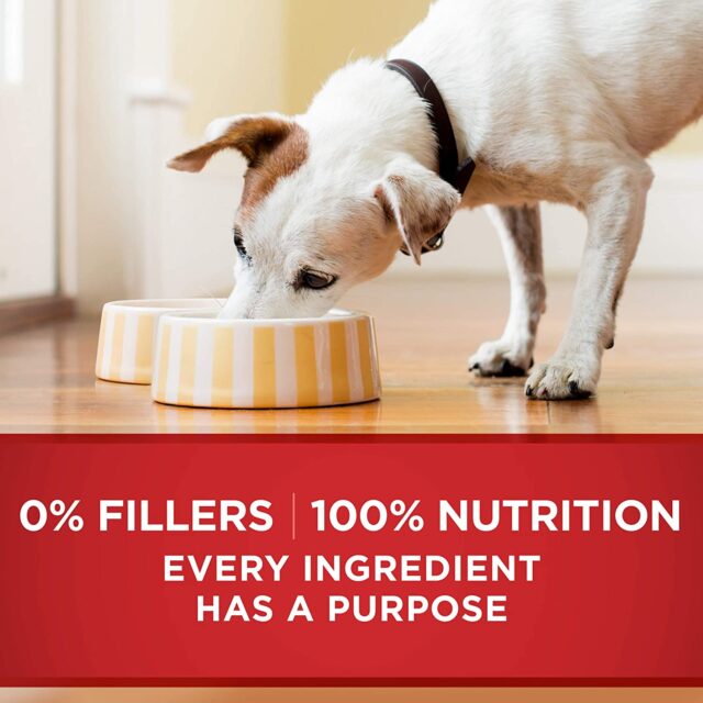 Purina ONE Smart Blend Natural Wet Dog Food, High Protein Soft Variety Pack, 13 oz Cans (6 Pack) - Image 2