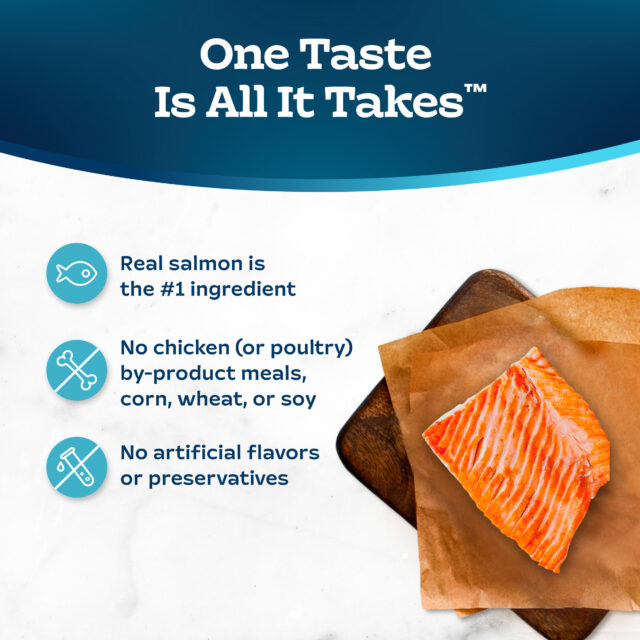 Blue Buffalo Tastefuls Dry Food, Adult Indoor Cat, Salmon and Brown Rice - Image 6