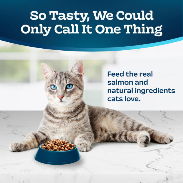 Blue Buffalo Tastefuls Dry Food, Adult Indoor Cat, Salmon and Brown Rice - Image 3