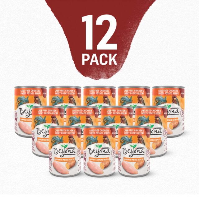 Purina Beyond Grani-Free Wet Dog Food in Gravy Soft Chicken & Sweet Potato, 12.5 oz Cans (12 Pack) - Image 10