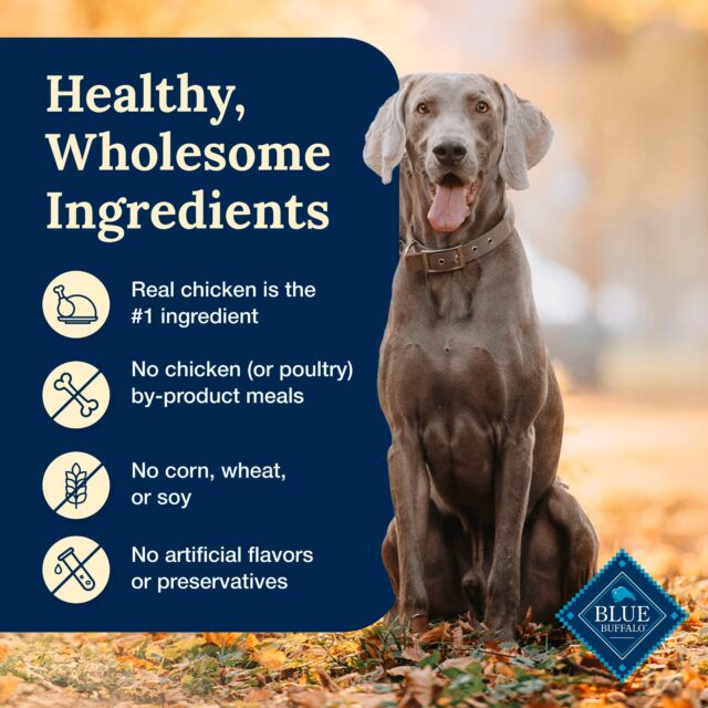 Blue Buffalo Delectables Natural Wet Dog Food Toppers, Tasty Chicken, 3-oz - Image 4