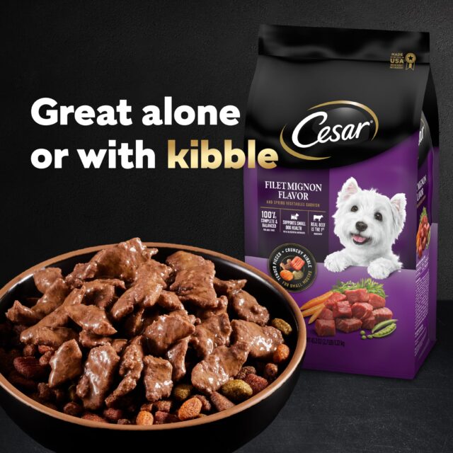 Cesar Fillets In Gravy Wet Dog Food, 3.5 Oz Trays (12 Pack) - Image 2