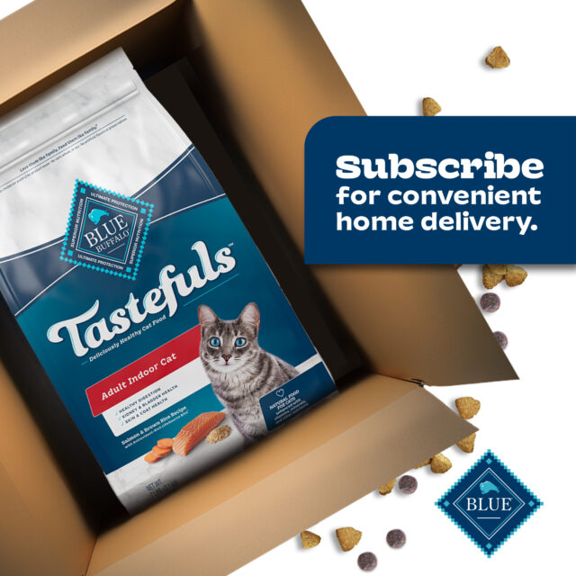 Blue Buffalo Tastefuls Dry Food, Adult Indoor Cat, Salmon and Brown Rice - Image 11
