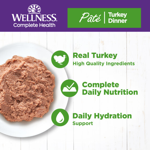 Wellness Complete Health Grain Free Canned Cat Food, Turkey Dinner Pate, 12.5 Ounces (Pack of 12) - Image 9