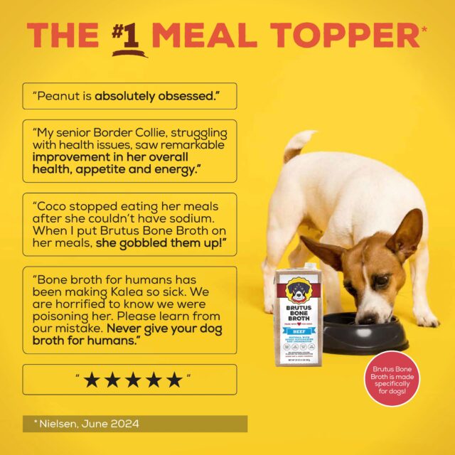 Brutus Bone Broth Chicken for Dogs - 32 oz, All Natural Human Grade Dog Food Topper with Chondroitin Glucosamine Turmeric, Great for Picky Eaters & Dry Food, Tasty & Nutritious - Image 4