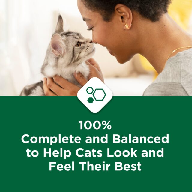 Purina Cat Chow Hairball & Healthy Weight, Indoor Dry Cat Food - Image 7