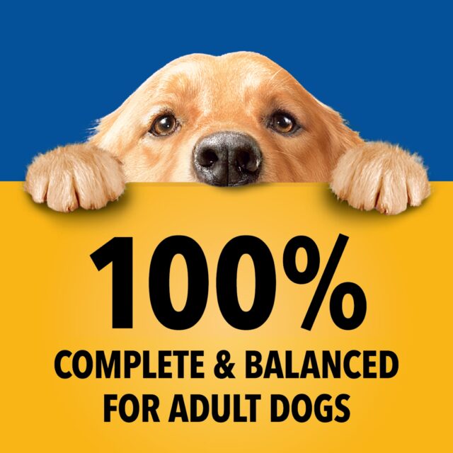 Pedigree Choice Cuts In Gravy Adult Soft Wet Dog Food Variety Pack, 3.5 Oz. Pouches (18 Pack) - Image 2