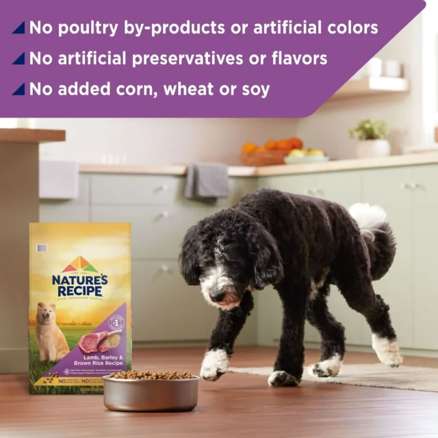 Nature′s Recipe Lamb, Barley & Brown Rice Recipe Dry Dog Food - Image 4