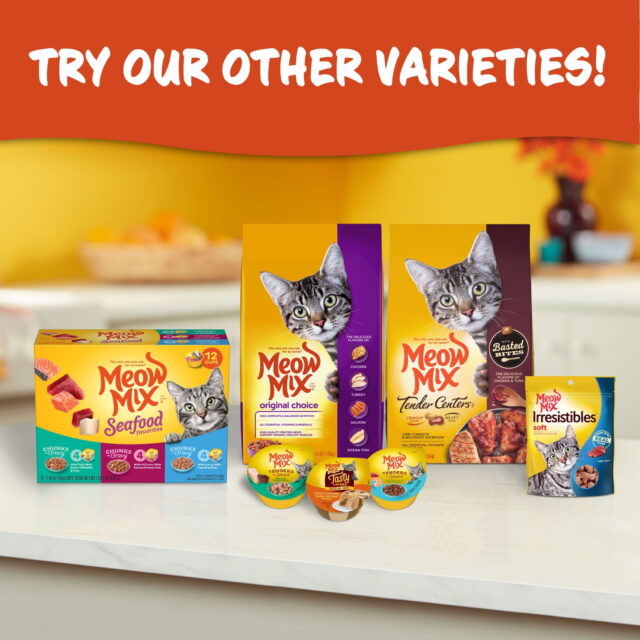 Meow Mix Tender Centers Dry Cat Food, Salmon & White Meat Chicken Flavors - Image 9
