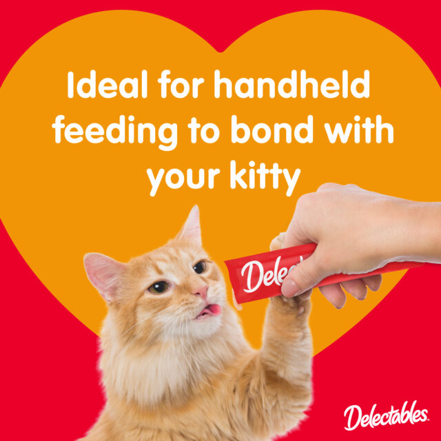 Hartz Delectables Squeeze Up Interactive Lickable Wet Cat Treats Variety Pack, 48 Count Jar