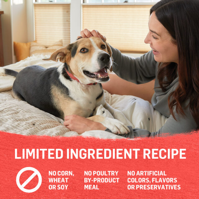 Purina Beyond Ground Entree Wet Dog Food Real Soft Alaskan Cod, Chicken & Beef, 13 oz Cans (6 Pack) - Image 8