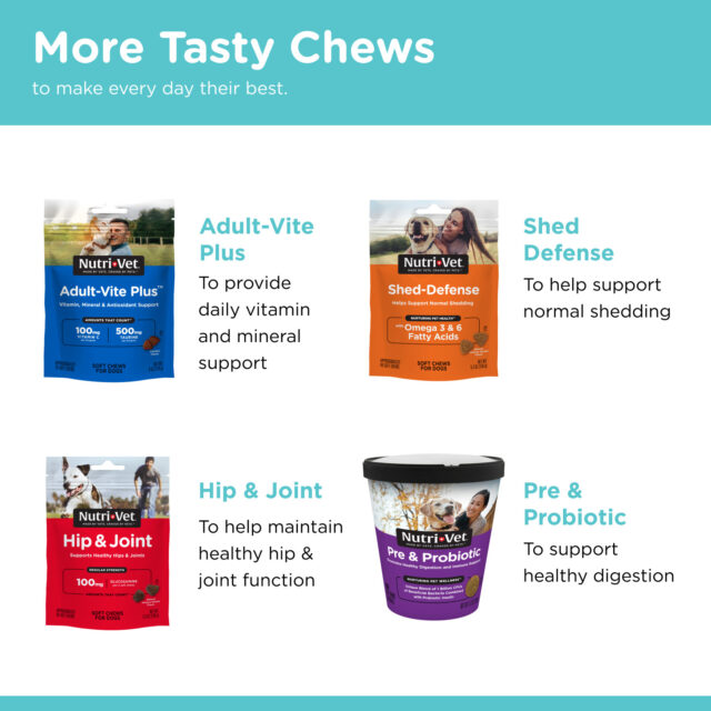Nutri-Vet Pet-Ease Soft Chews for Dogs - Vet Formulated with Chamomile and Tryptophan to Soothe and Calm Dogs -6.0 oz - Image 2