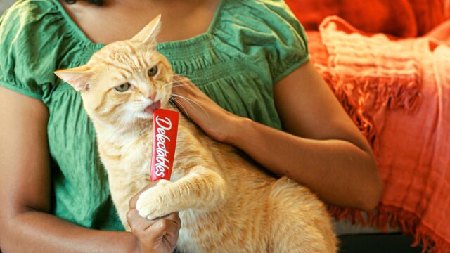 Hartz Delectables Squeeze Up Interactive Lickable Wet Cat Treat Variety Pack, 0.5oz Tube (72 Count) - Image 6