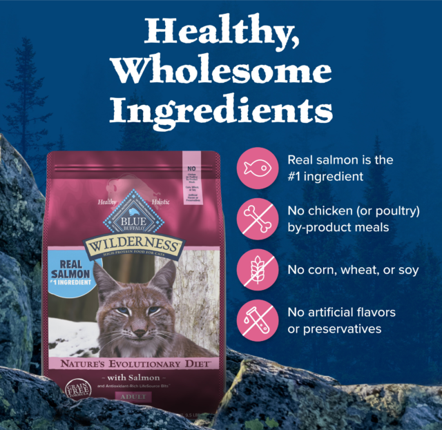 Blue Buffalo Wilderness Natural High Protein Dry Food for Adult Cats, Salmon - Image 3