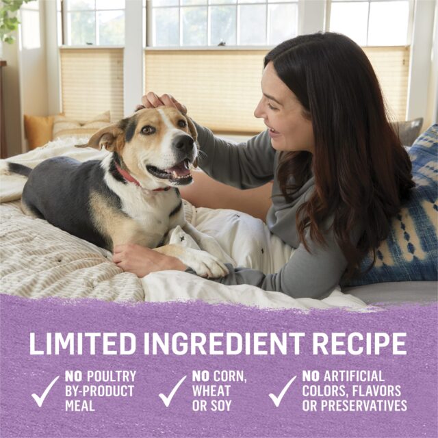 Purina Beyond Immune Health Wet Dog Food Natural Soft Turkey & Green Bean, 12.5 oz Can (12 Pack) - Image 5