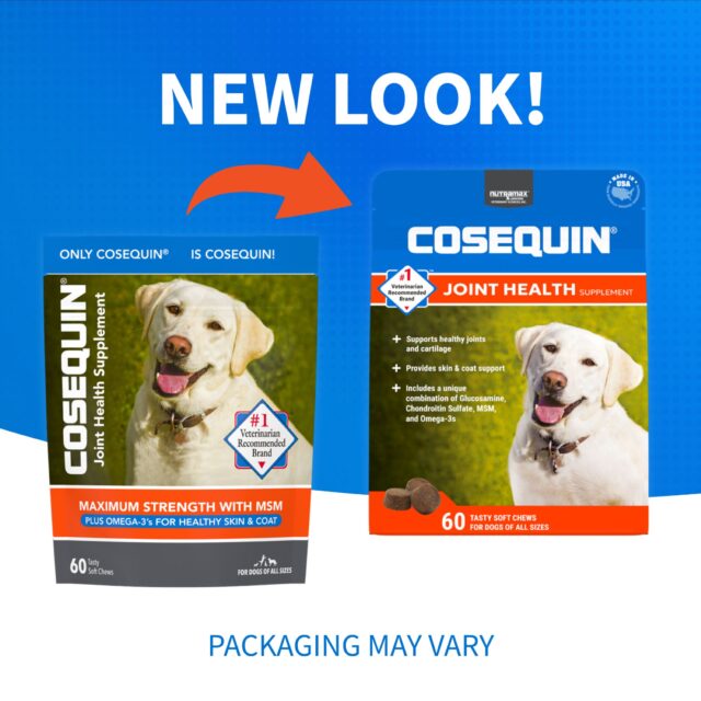 Nutramax Cosequin Joint Health Supplement for Dogs, 60 Soft Chews - Image 2