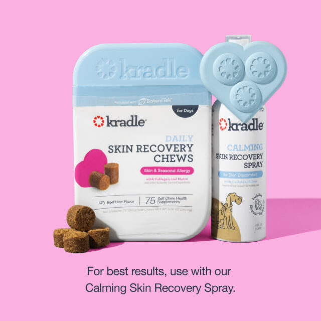 Kradle Calming Skin Recovery Soft Chews Dog Skin & Coat Support, Beef Liver Flavor, 75 Count - Image 5