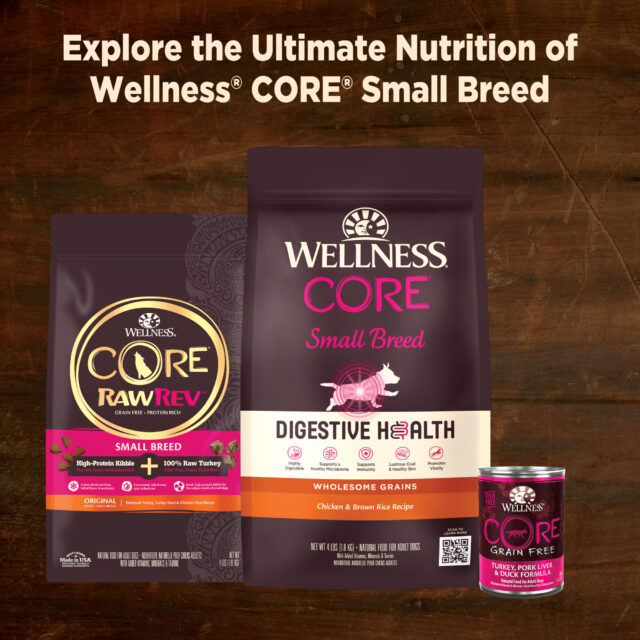 Wellness CORE Natural Grain Free Small Breed Mini Meals Wet Dog Food, Chunky Chicken & Chicken Liver Entrée in Gravy, 3-Ounce Pouch (Pack of 12) - Image 2