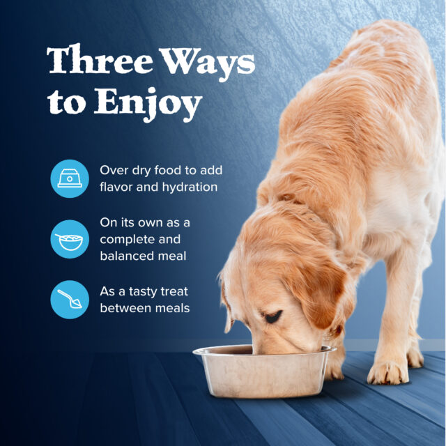 Blue Buffalo Wilderness Adult Wet Dog Food, Turkey & Chicken Grill, 12.5-oz. Can - Image 5