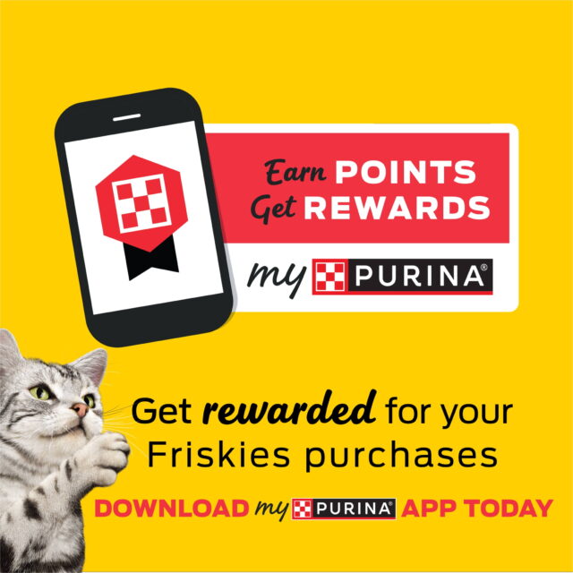 Purina Friskies Gravy Shreds, Beef, Chicken, Turkey and Cheese, Wet Cat Food, 5.5 oz Can, 24 Pack