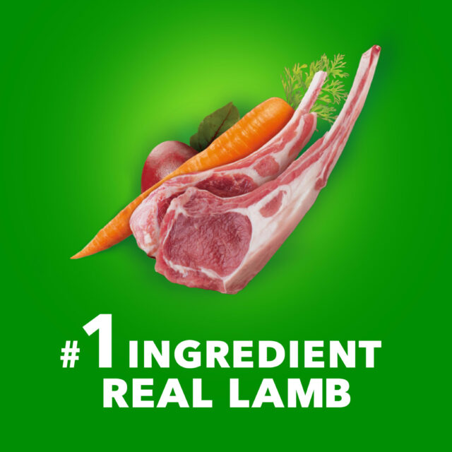 Iams Proactive Health Large Breed Adult Dry Dog Food Lamb & Rice Recipe, 40 Lb. Bag - Image 7