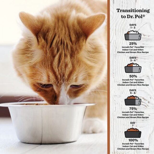 Dr. Pol Incredi-Pol Favorites Indoor Cat and Kitten Chicken and Brown Rice Recipe Cat Food - 18lb - Image 4