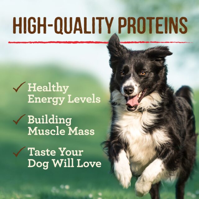 Merrick Grain Free Wet Dog Food for Adults, Real Beef, Lamb & Bison, 12.7 oz Cans (12 Pack) - Image 4
