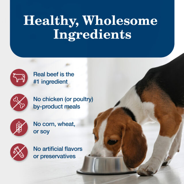 Blue Buffalo Homestyle Recipe Adult Wet Dog Food, Beef Dinner - Image 6