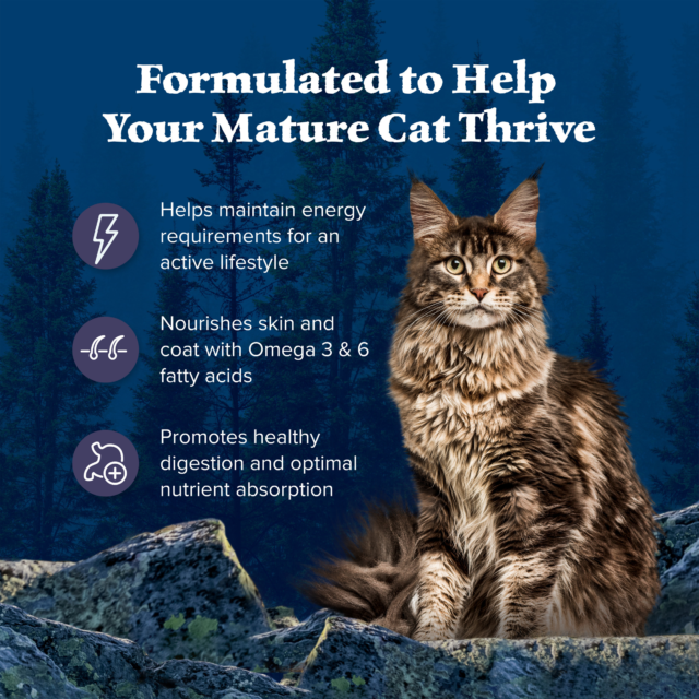 Blue Buffalo Wilderness Natural Mature Dry Cat Food, High-Protein, Chicken - Image 5
