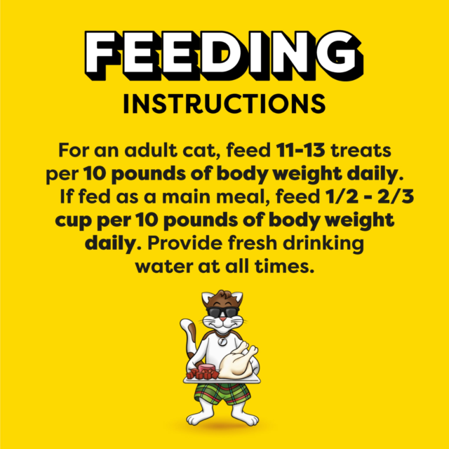 Temptations Mixups Backyard Cookout Flavor Crunchy And Soft Dry Cat Treats, 16 Oz Tub - Image 2