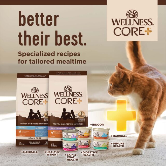 Wellness CORE Grain-Free Indoor Salmon & Herring Meal Recipe Dry Cat Food, 5 Pound Bag - Image 2