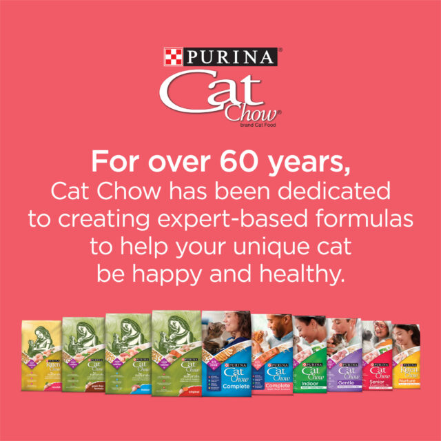 Purina Cat Chow Complete, Dry Cat Food, Salmon, 15 lb Bag - Image 3