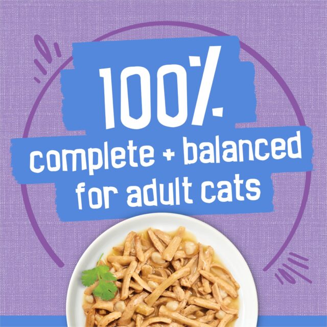 (12 pack) Purina Friskies Shreds Turkey and Cheese Dinner in Gravy, Wet Cat Food, 5.5 oz Can - Image 3