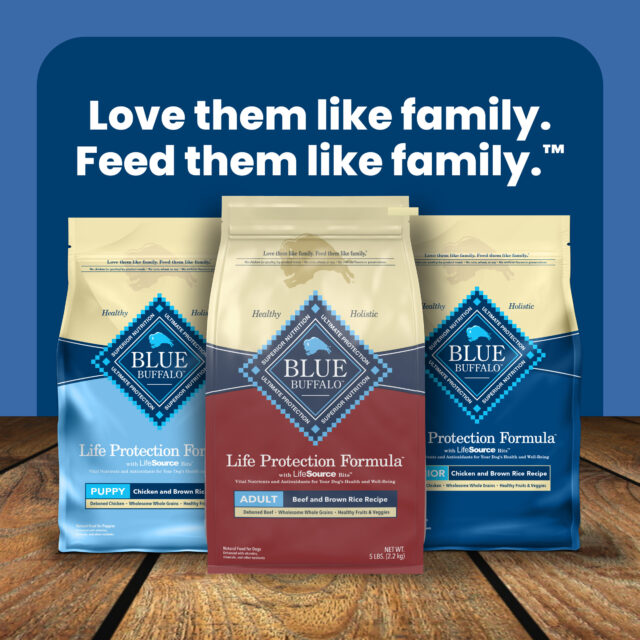 Blue Buffalo Life Protection Formula Natural Dry Dog Food, Beef & Brown Rice, 5-lb. Bag - Image 2