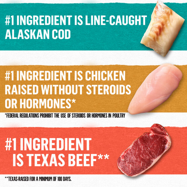 Purina Beyond Ground Entree Wet Dog Food Real Soft Alaskan Cod, Chicken & Beef, 13 oz Cans (6 Pack) - Image 4