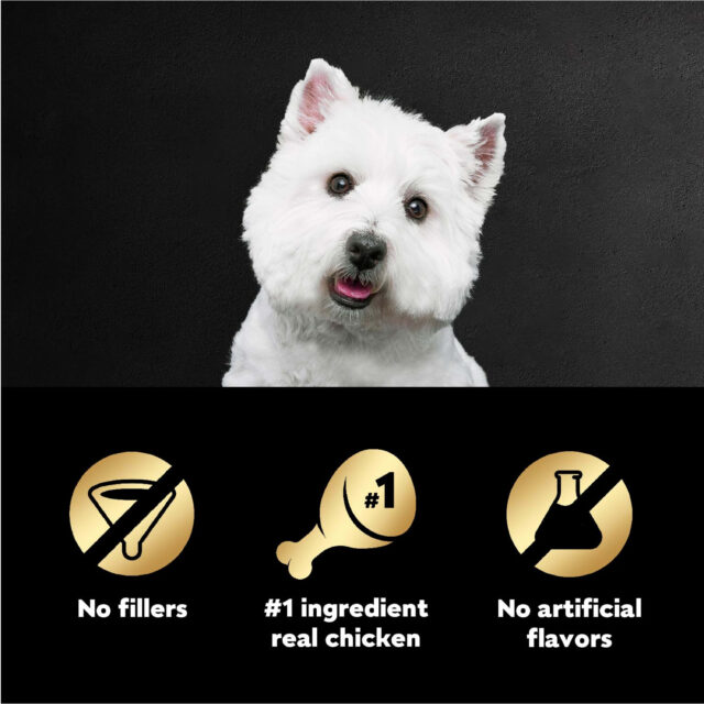 Cesar Pouch Filets In Gravy Wood-Grilled Chicken Wet Dog Food, 1.76 oz. Pouch, 1 ct - Image 3