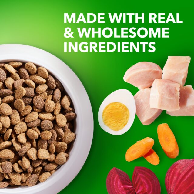 Iams Proactive Health Healthy Aging Adult With Real Chicken Dry Senior Dog Food, 7 Lb Bag - Image 2
